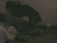 Camera caught a girl and her pet dog having beastiality sex